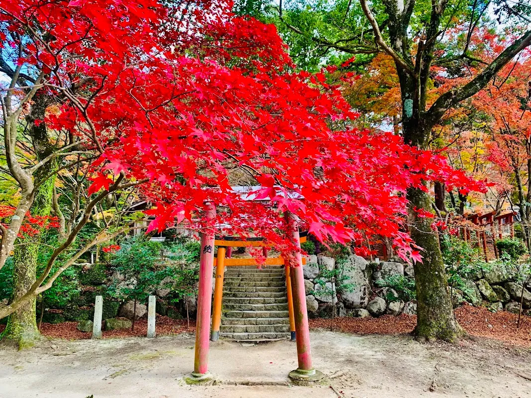 宝满宫 灶门神社 6