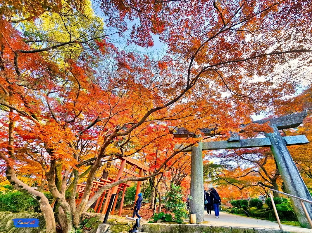 宝满宫 灶门神社 7