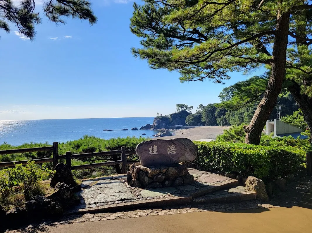 桂滨 3