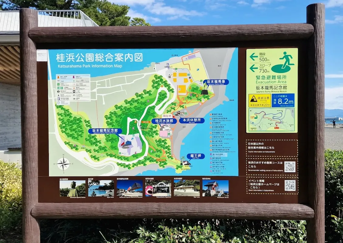 桂滨 4