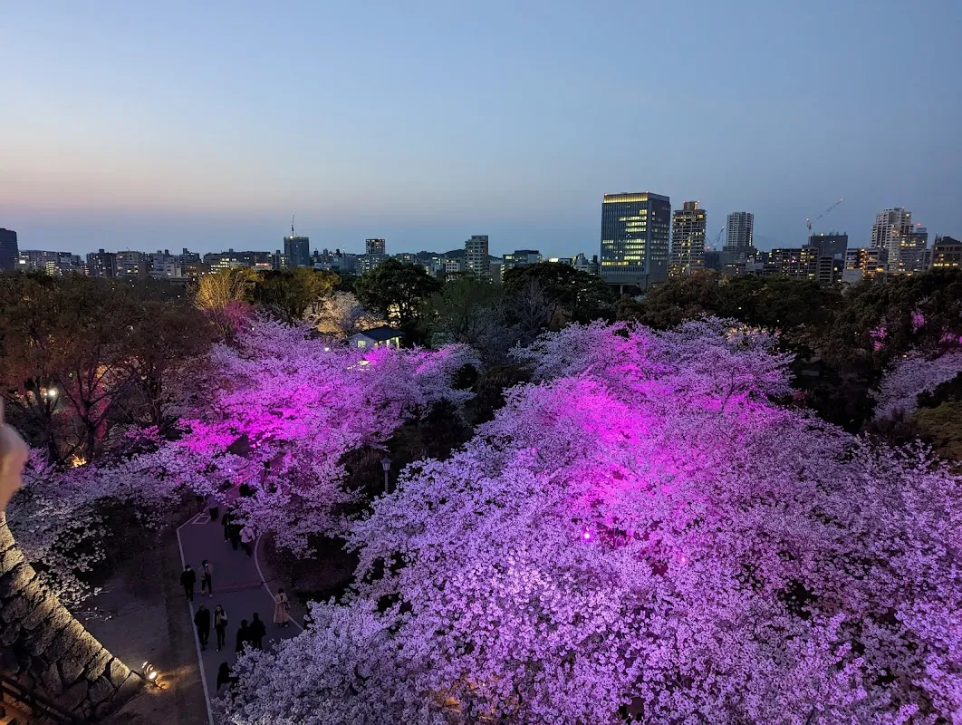舞鶴公園 3