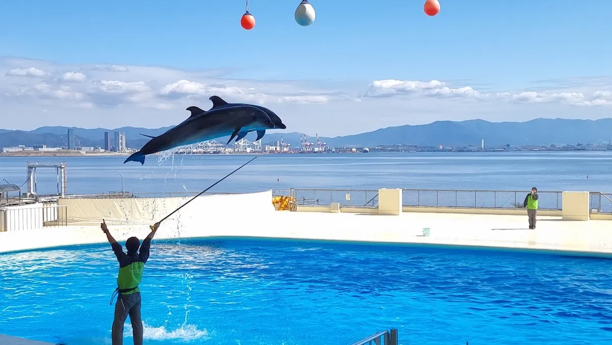 マリンワールド海の中道 6
