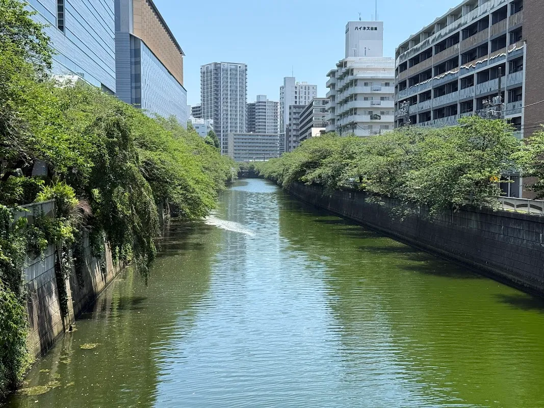 Meguro River 2