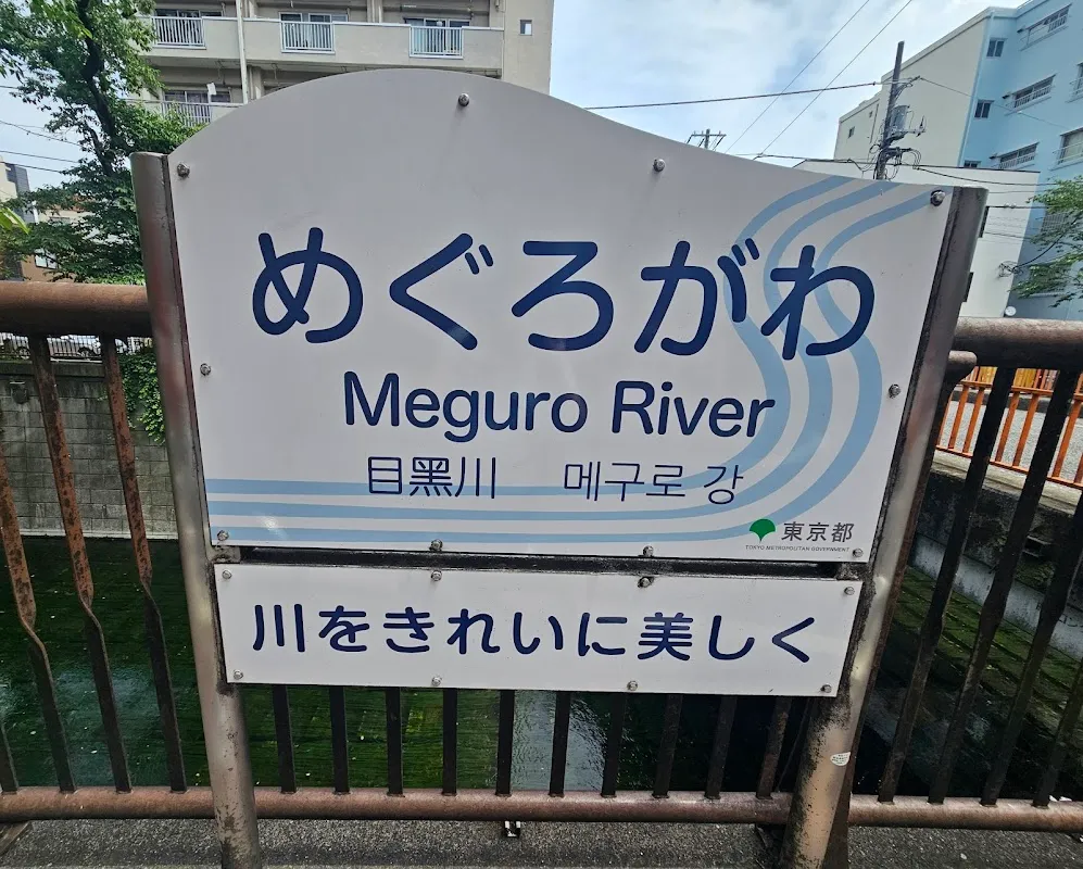 Meguro River 4