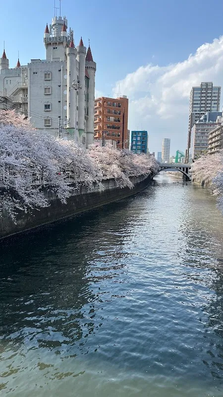 Meguro River 6