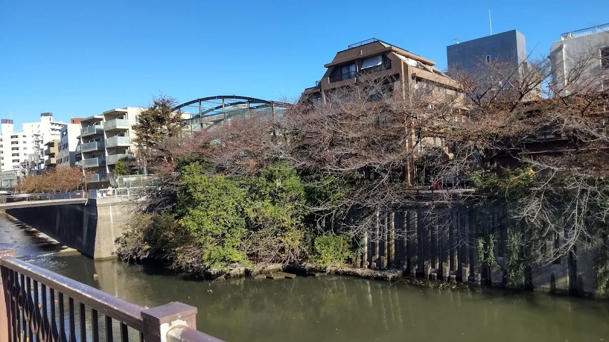 Meguro River 7