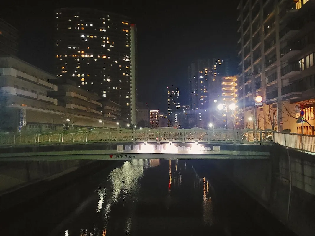 Meguro River 8