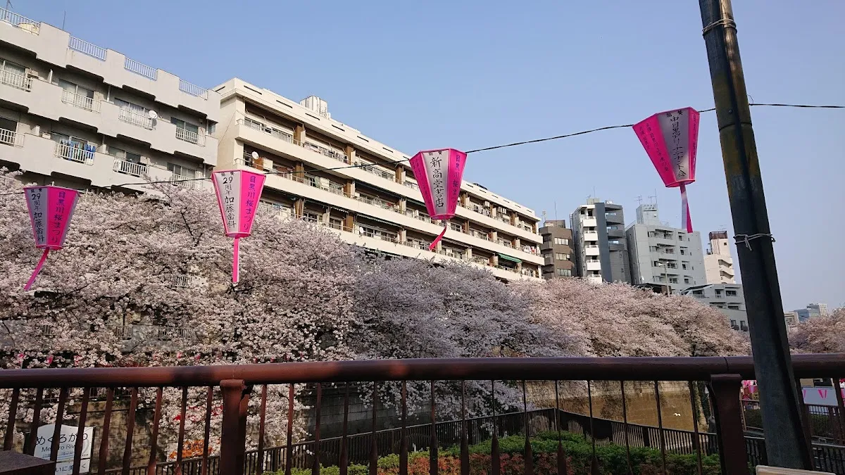 Meguro River 9