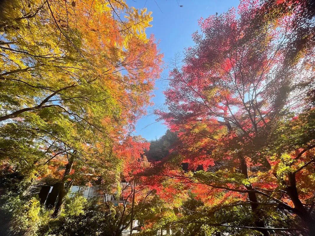高尾山 7