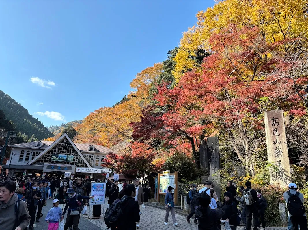 高尾山 9