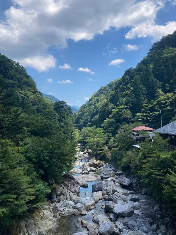 Niyodo River 4