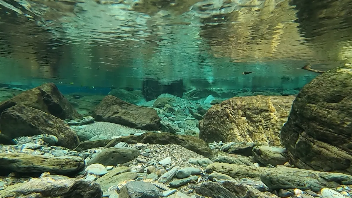 Niyodo River 10