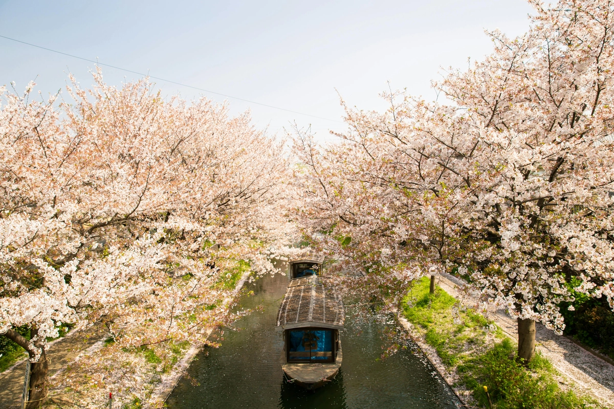 Philosopher's Path 2