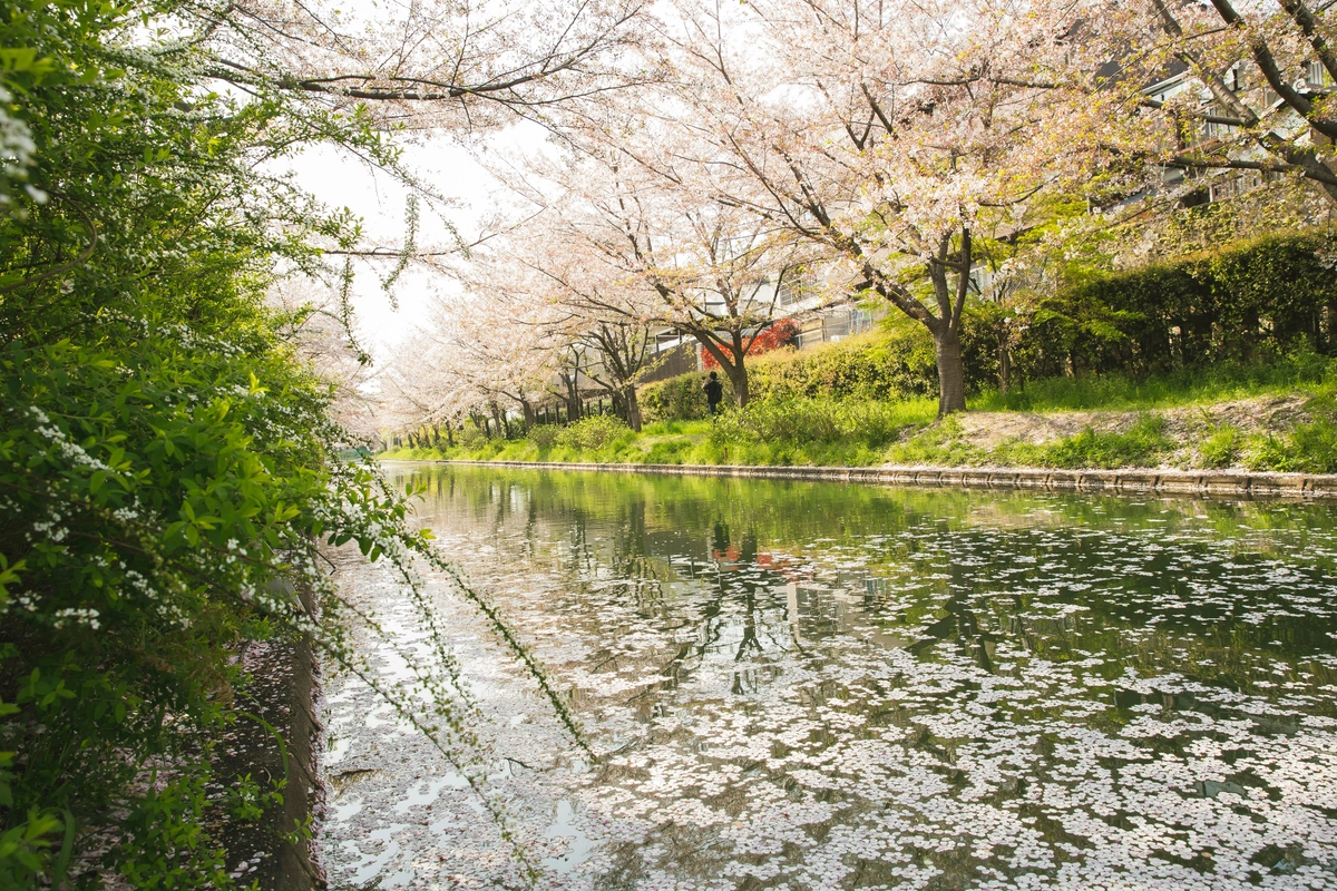 Philosopher's Path 3