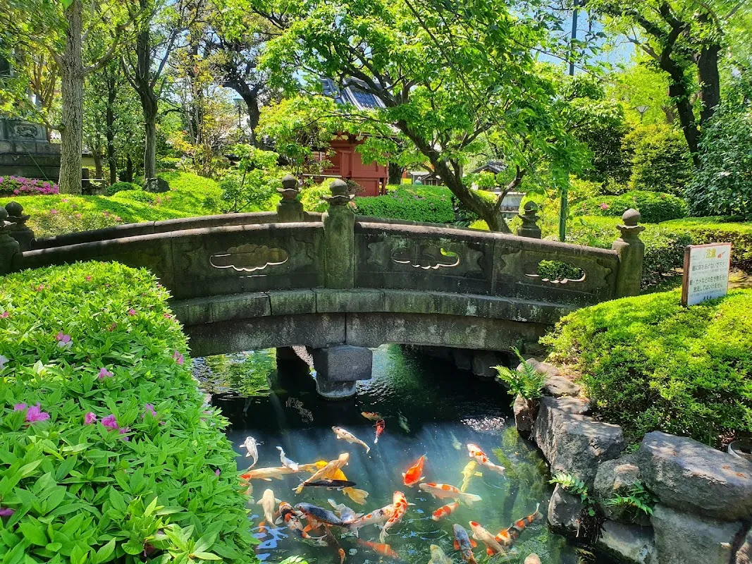 浅草寺 5