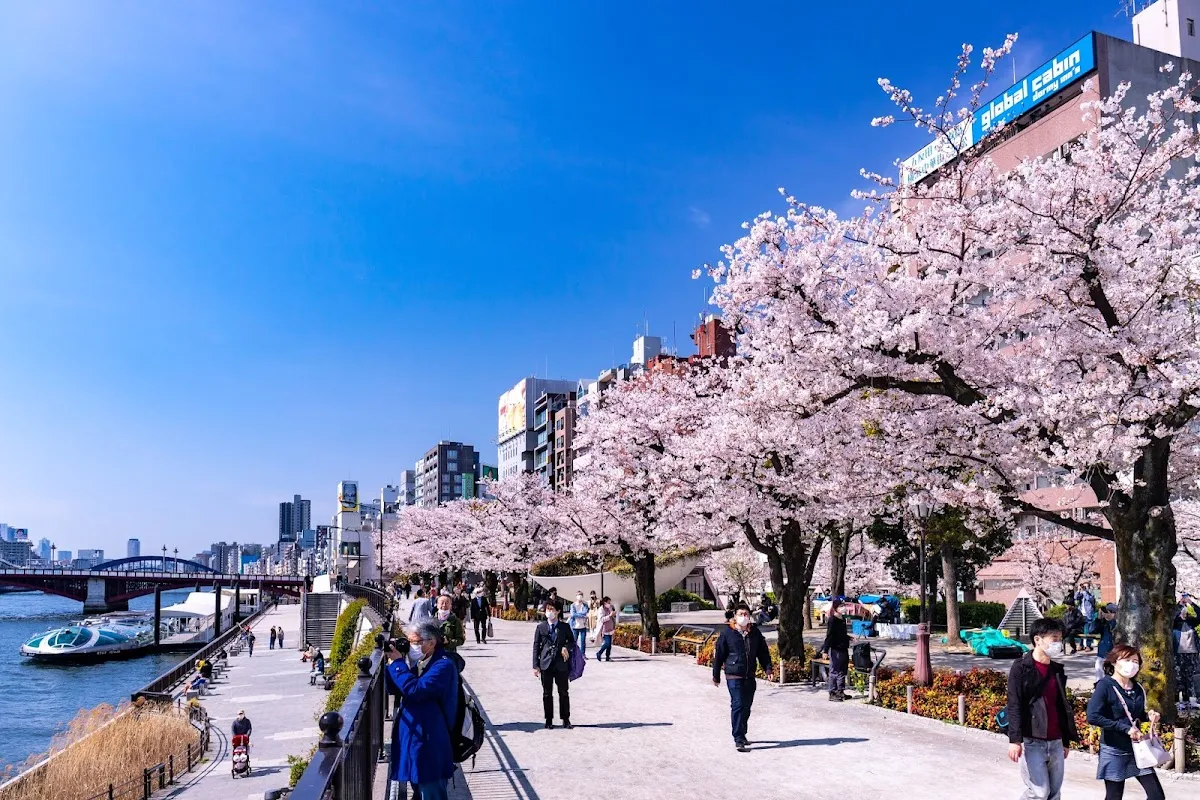 Sumida Park 1