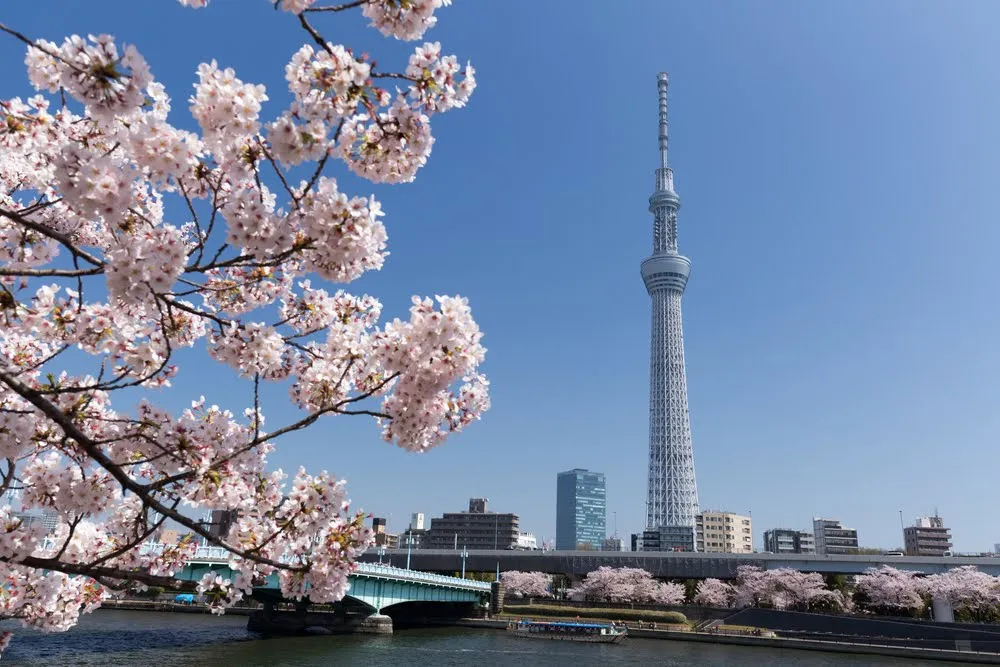 Sumida Park 6