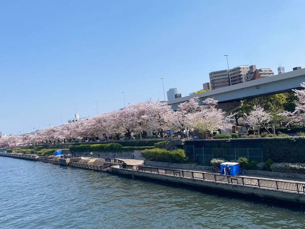 Sumida Park 8