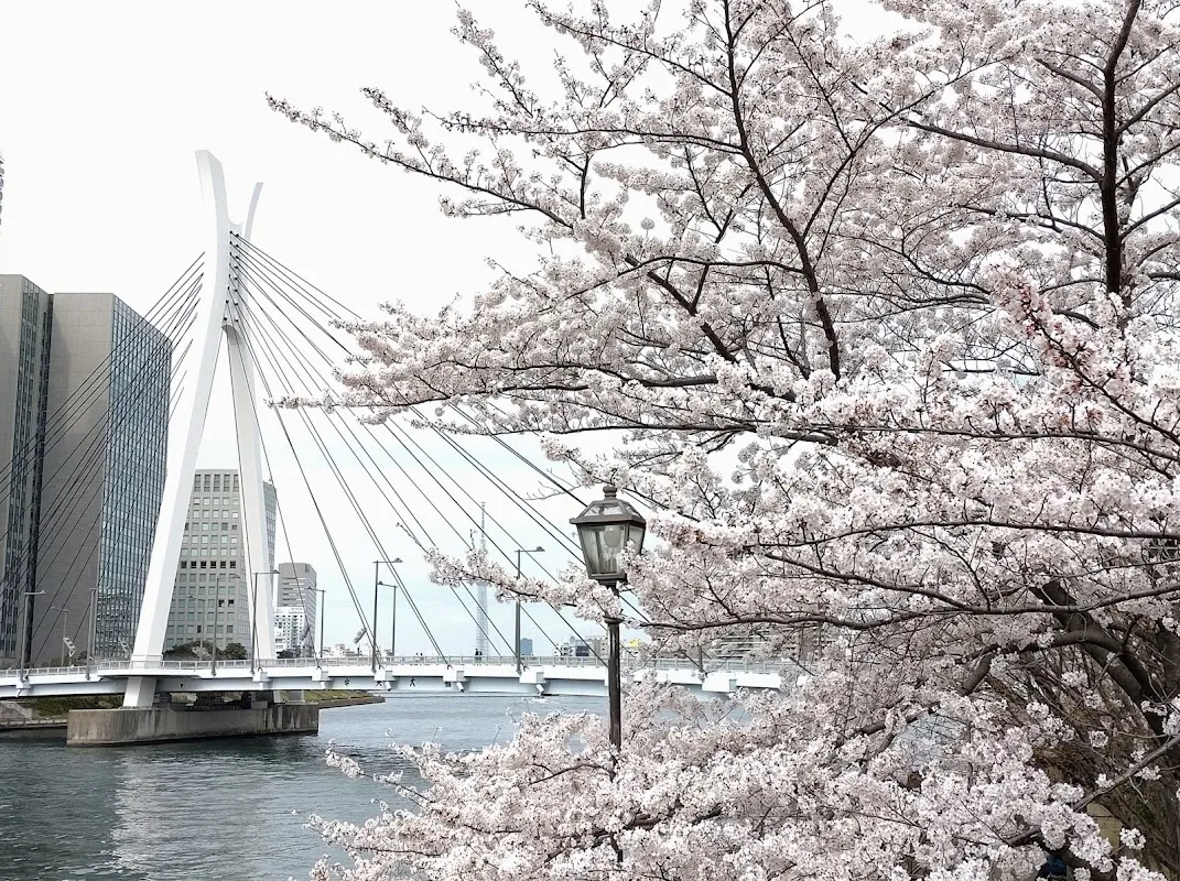 Sumida River 1