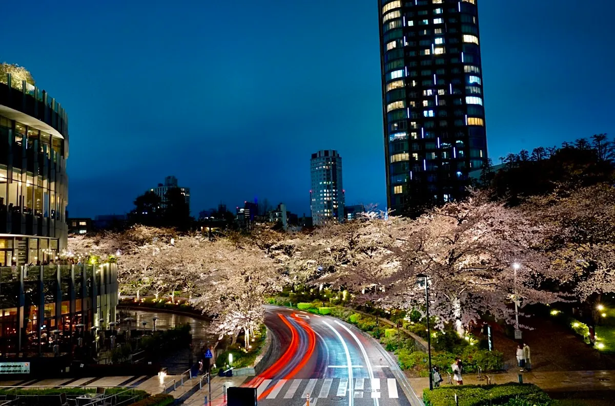 東京ミッドタウン 5