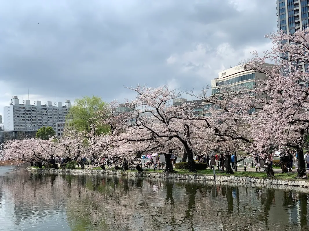 Ueno Park 2