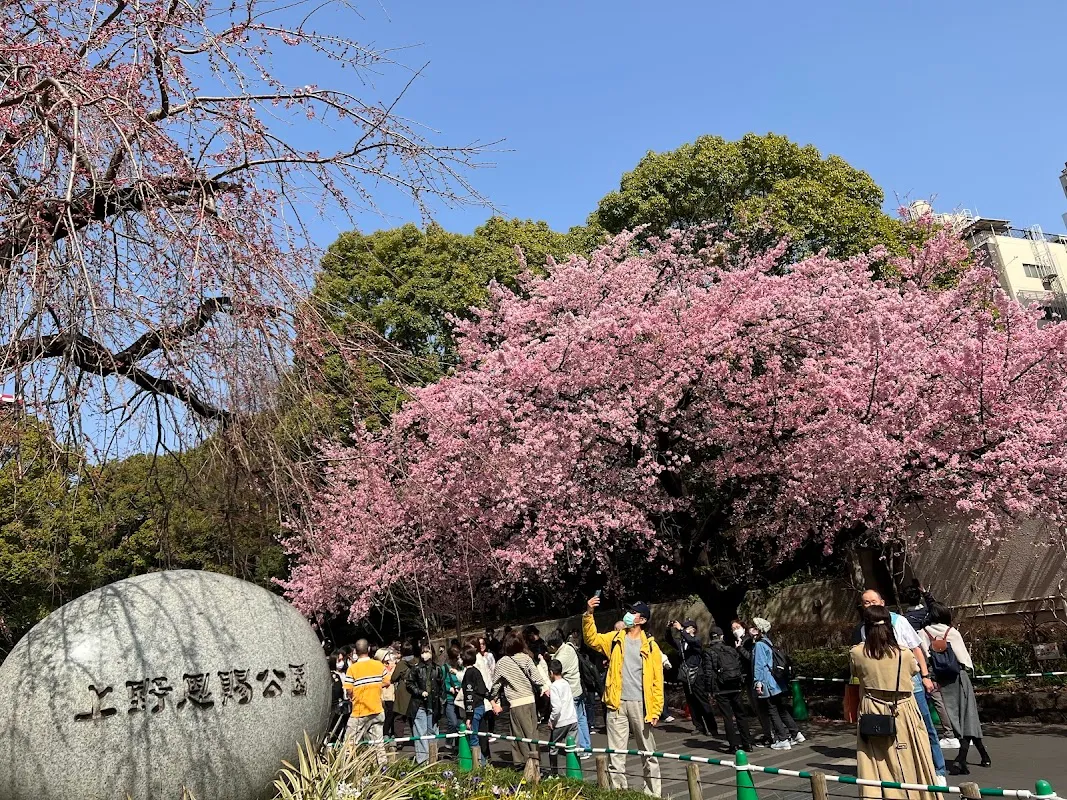 Ueno Park 3