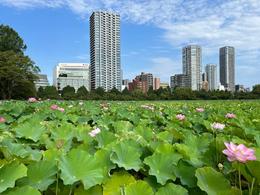 Ueno Park 4