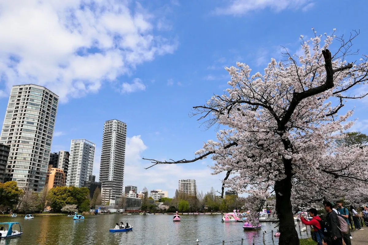 Ueno Park 5