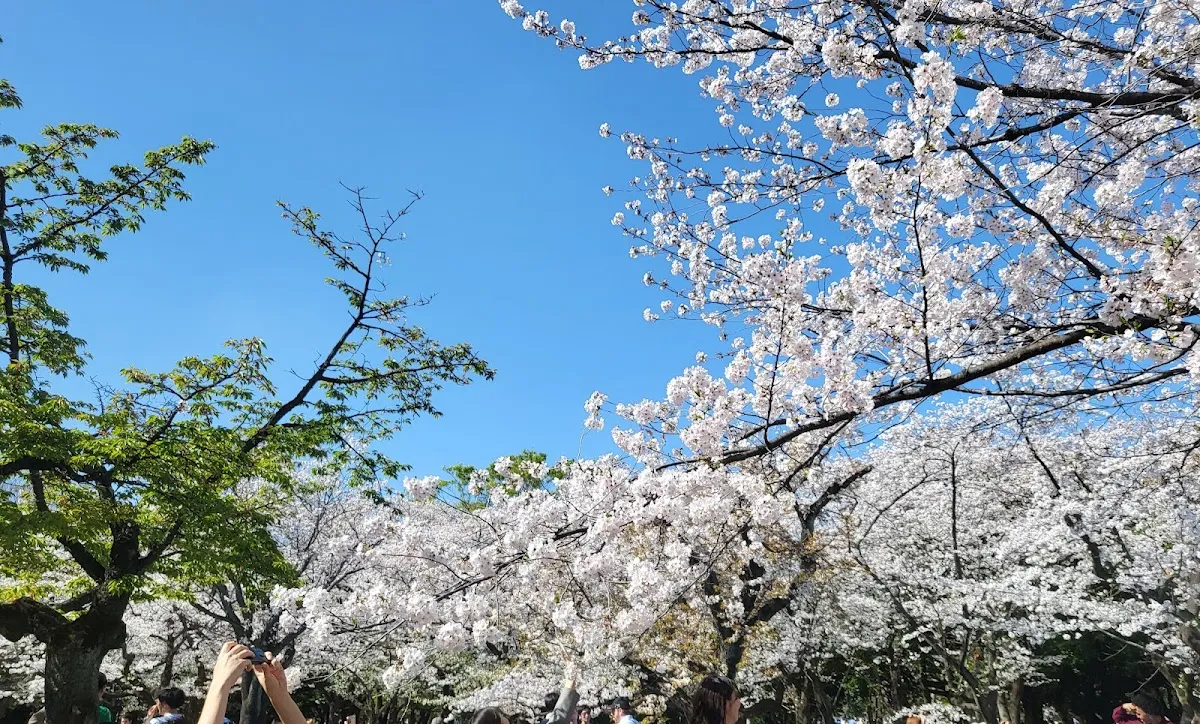 代々木公園 5