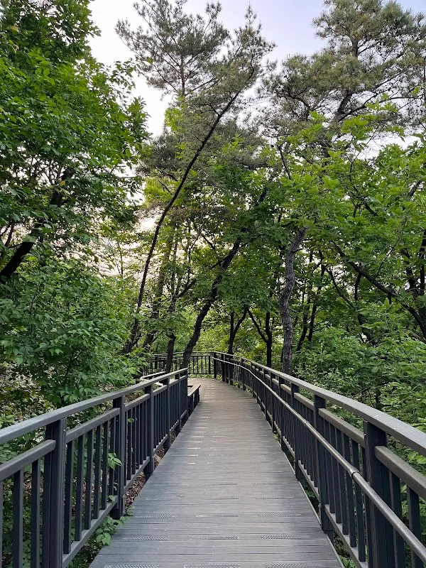烽火山 3