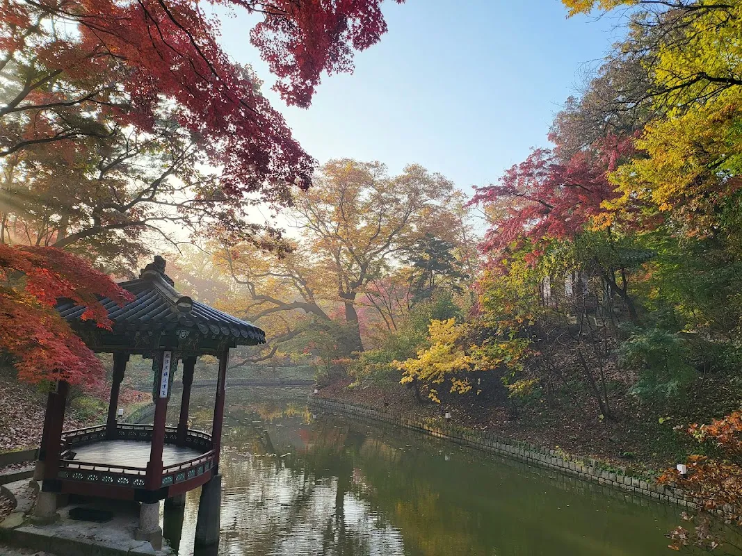 Changdeokgung Palace & Secret Garden 3
