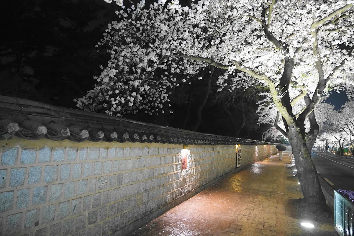 대릉원 돌담길 2
