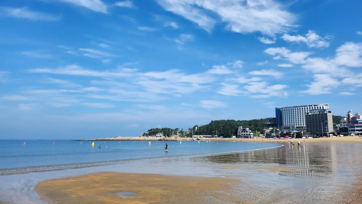 Incheon Day Trip: Chinatown, Coastal Islands & Songdo 5