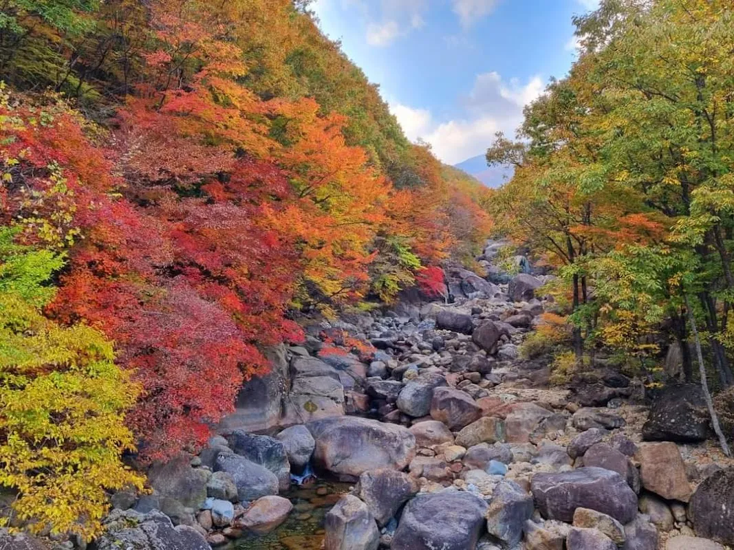 Jirisan National Park 5
