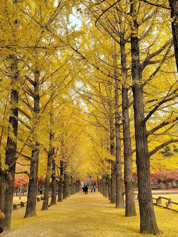 Nami Island (Namiseom)