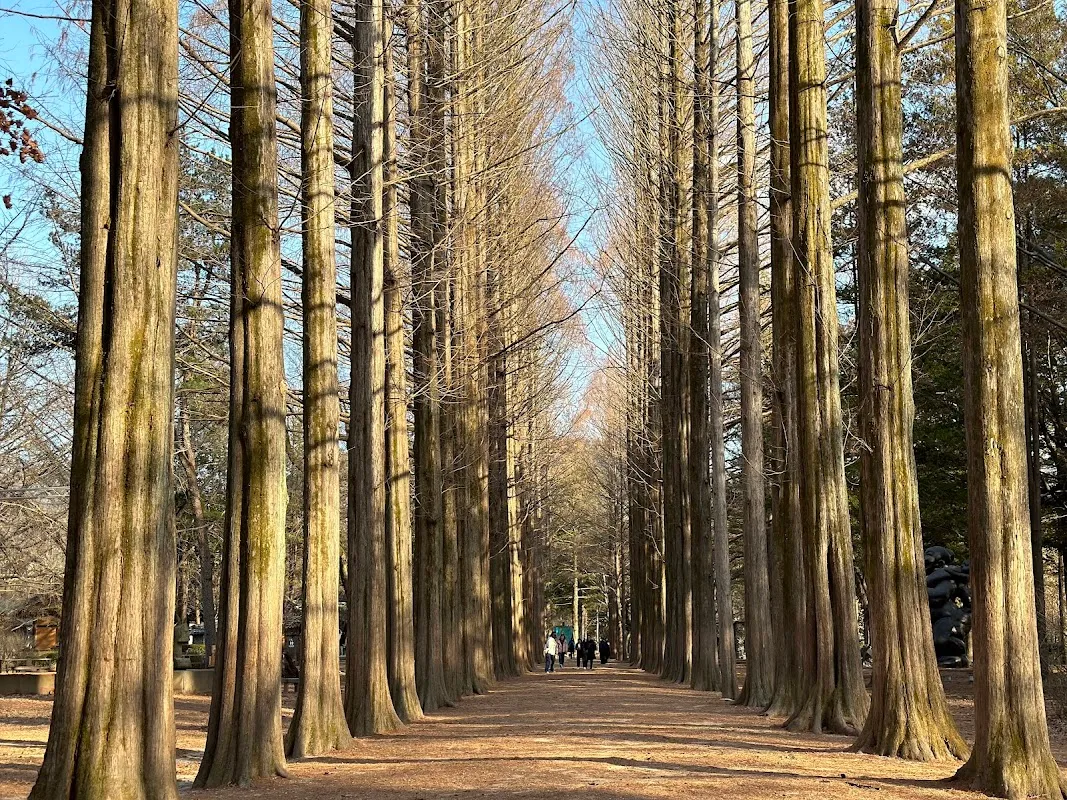 Nami Island (Namiseom) 3
