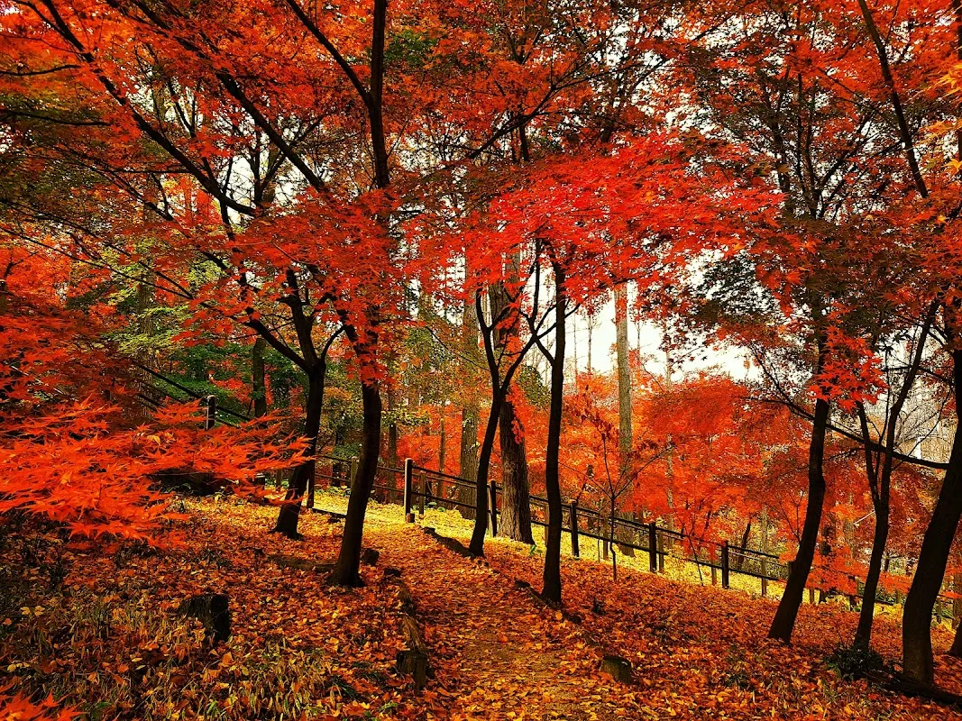 남산 10