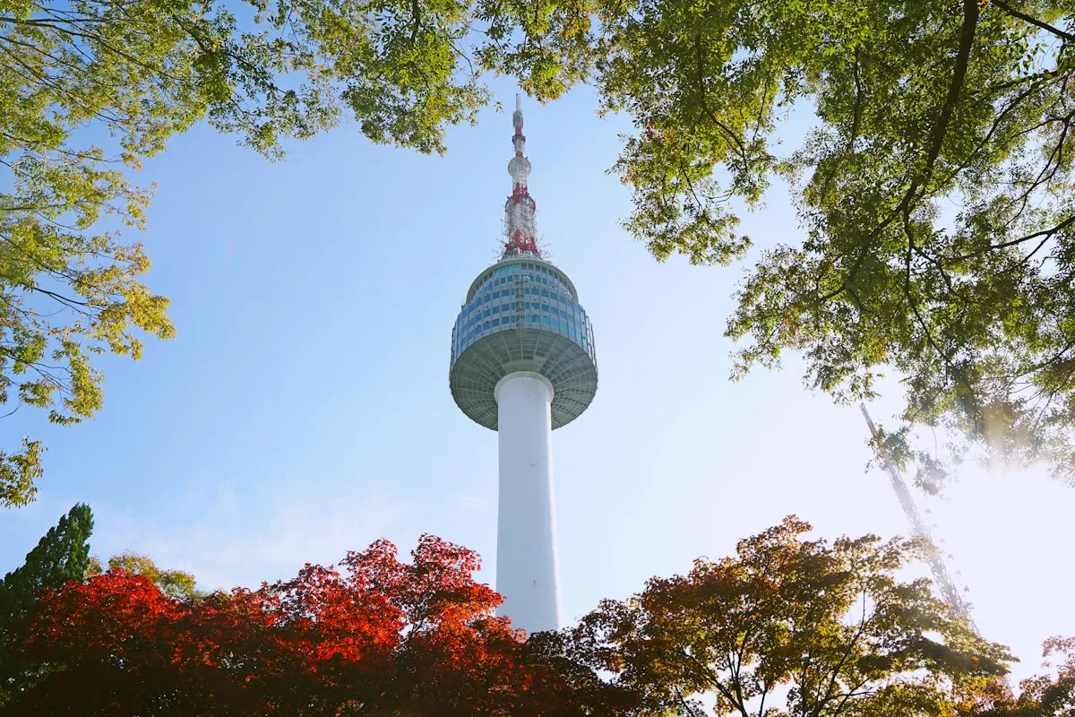 N Seoul Tower (Namsan Tower) 2