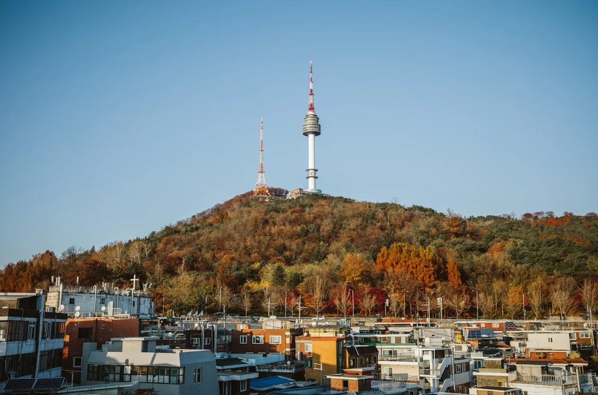N Seoul Tower (Namsan Tower) 3