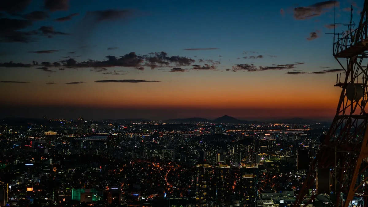 N Seoul Tower (Namsan Tower) 4