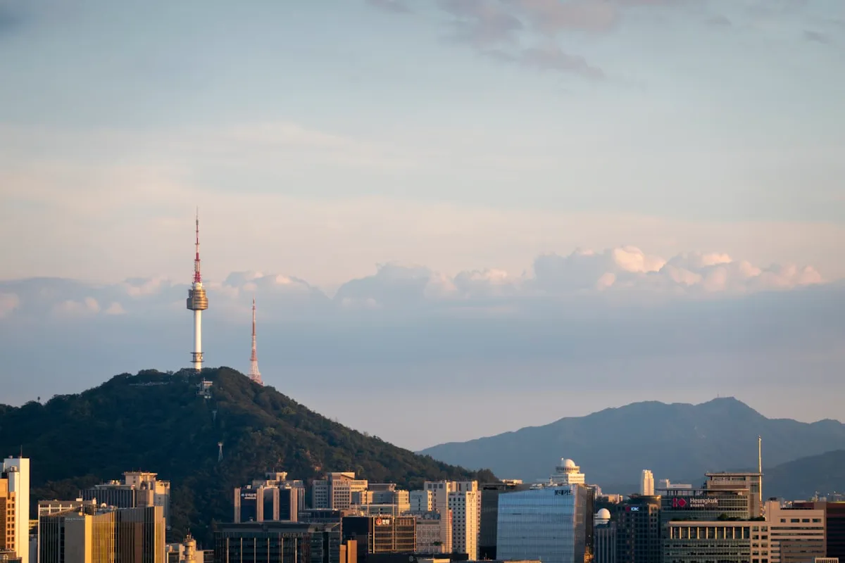 N Seoul Tower (Namsan Tower) 5