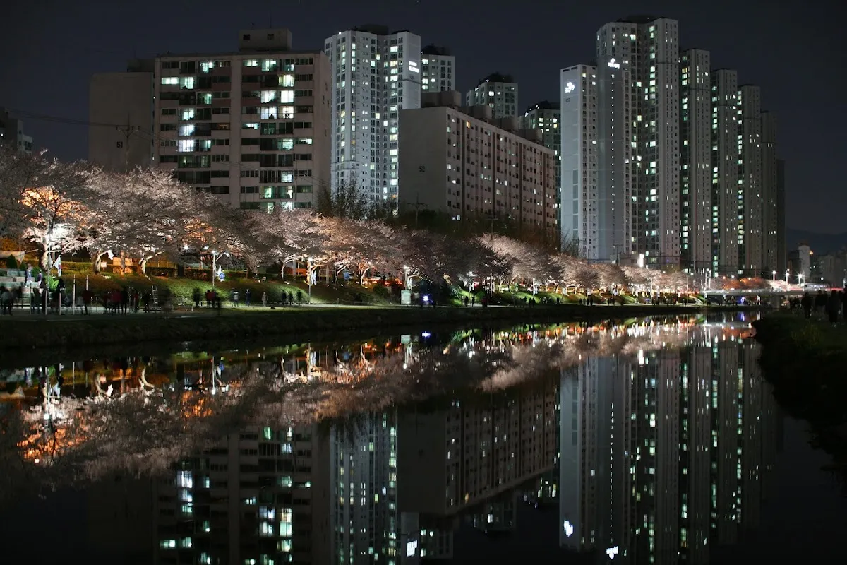 Oncheon-cheon 1