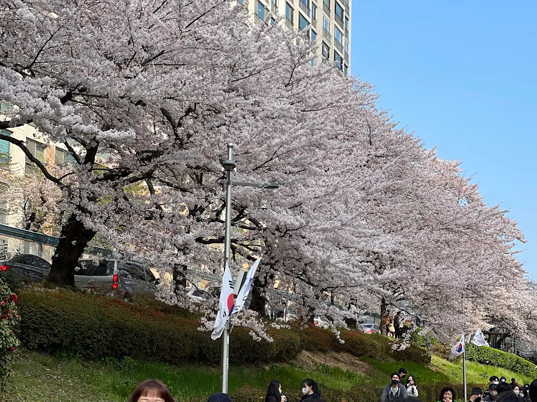 Oncheon-cheon 3