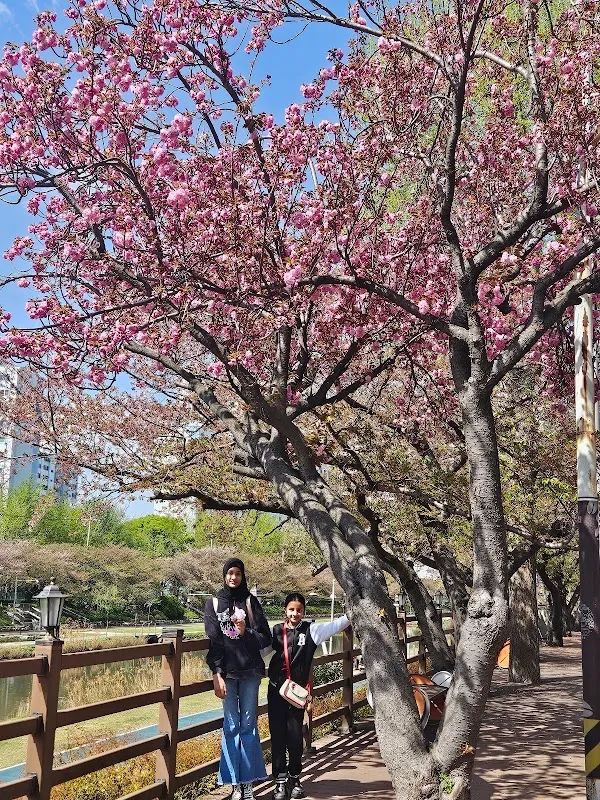 Oncheon-cheon 5