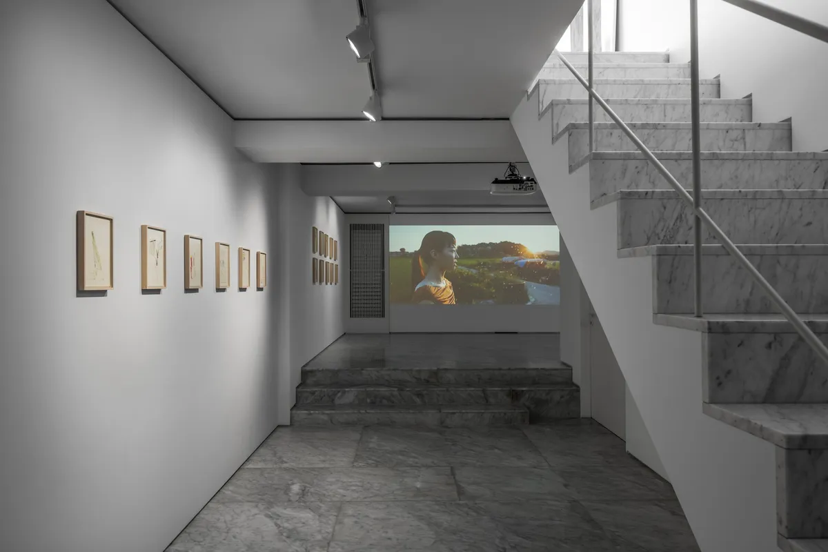 PKM Gallery 5