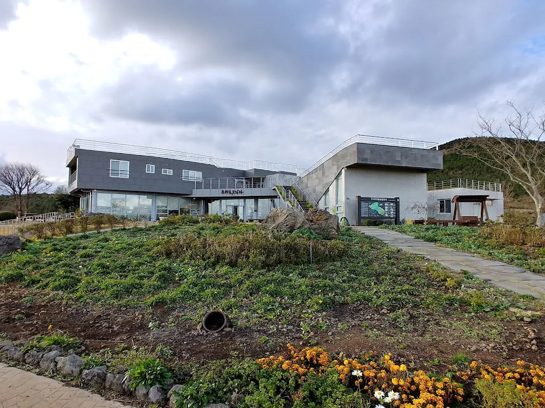 Rape Flower Plaza 4