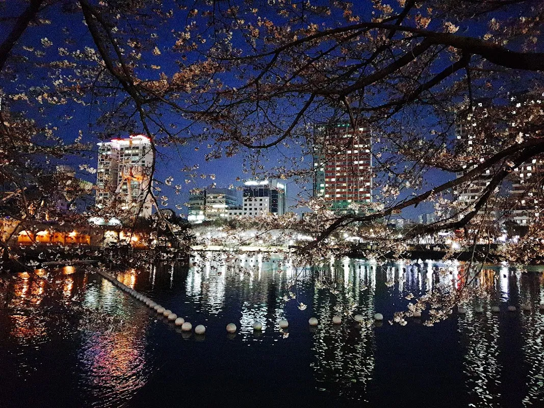 Seokchon Lake Park 5