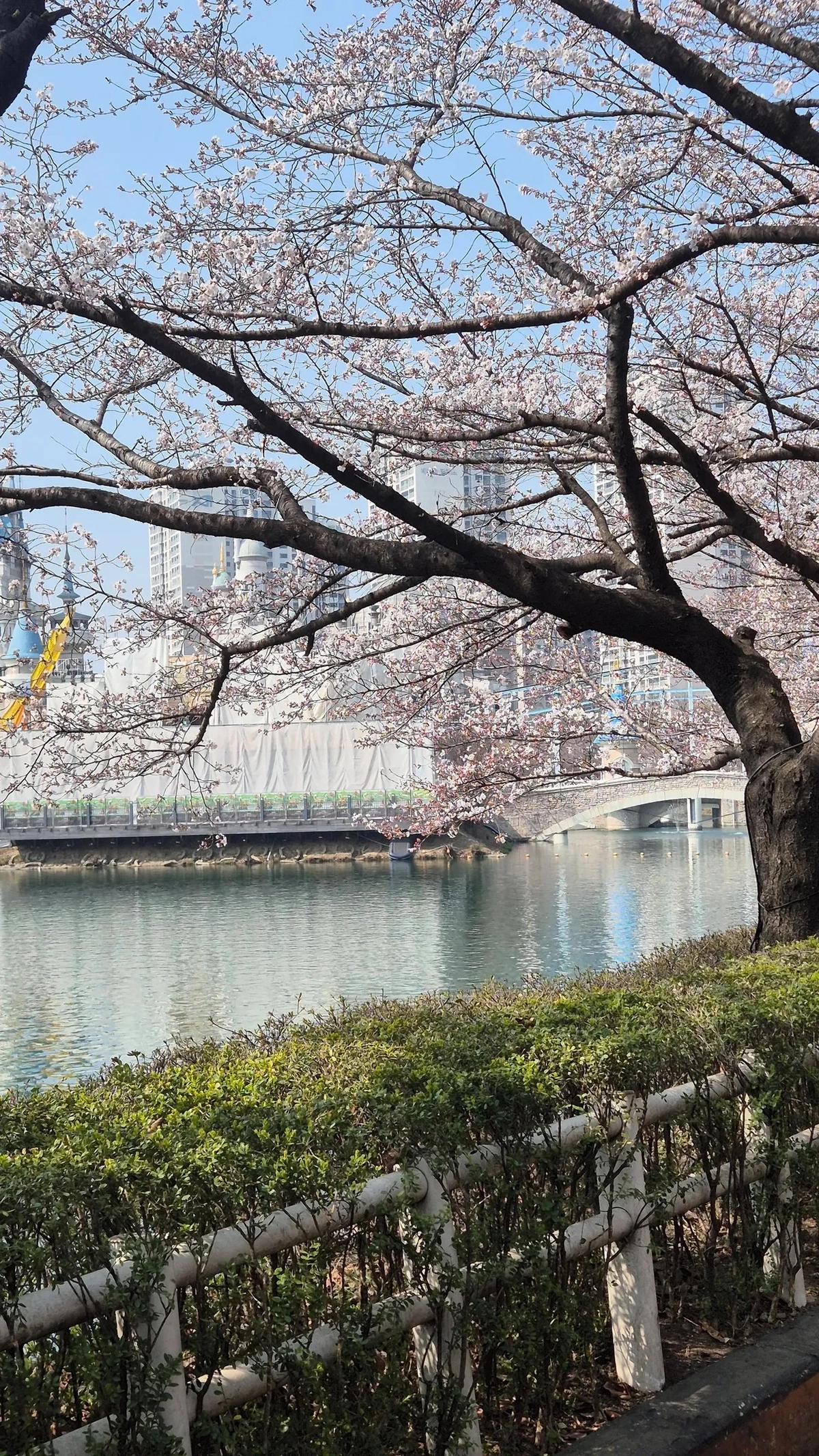 Seokchon Lake Park 9
