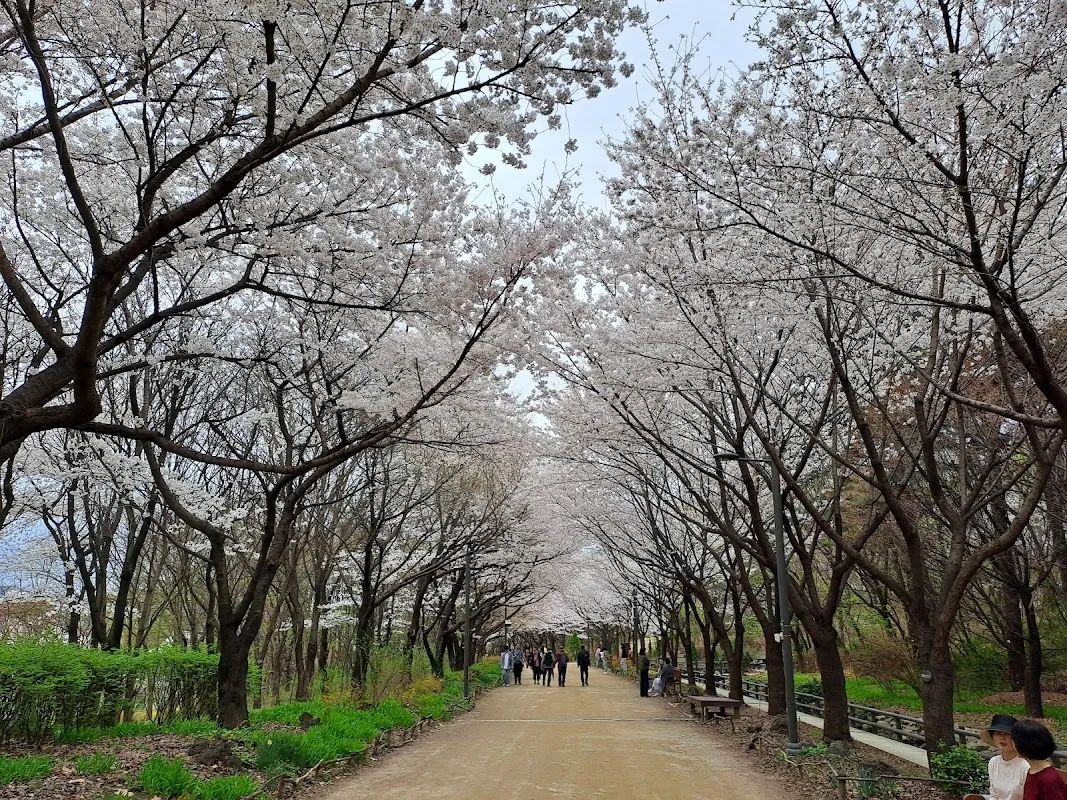 ソウルの森の紅葉散策路