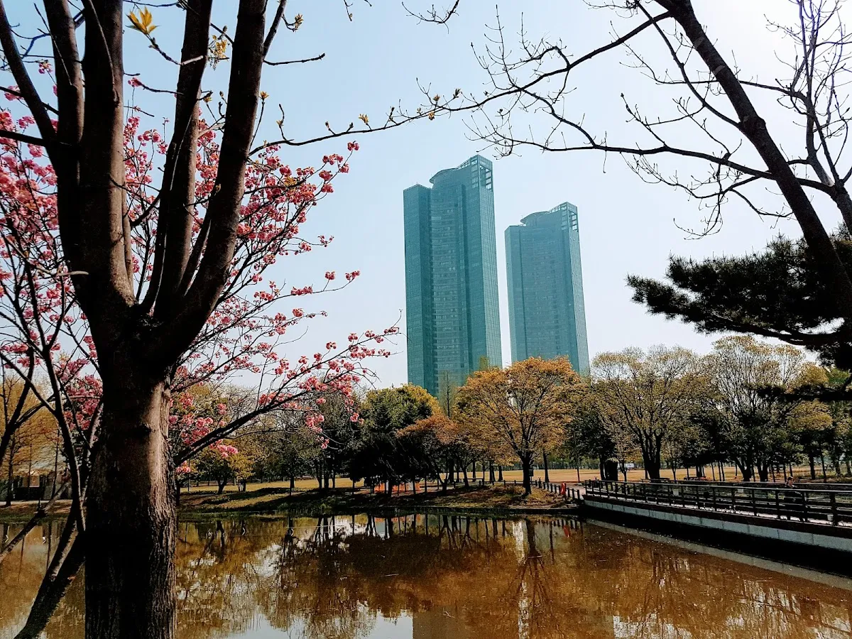 Seoul Forest 3